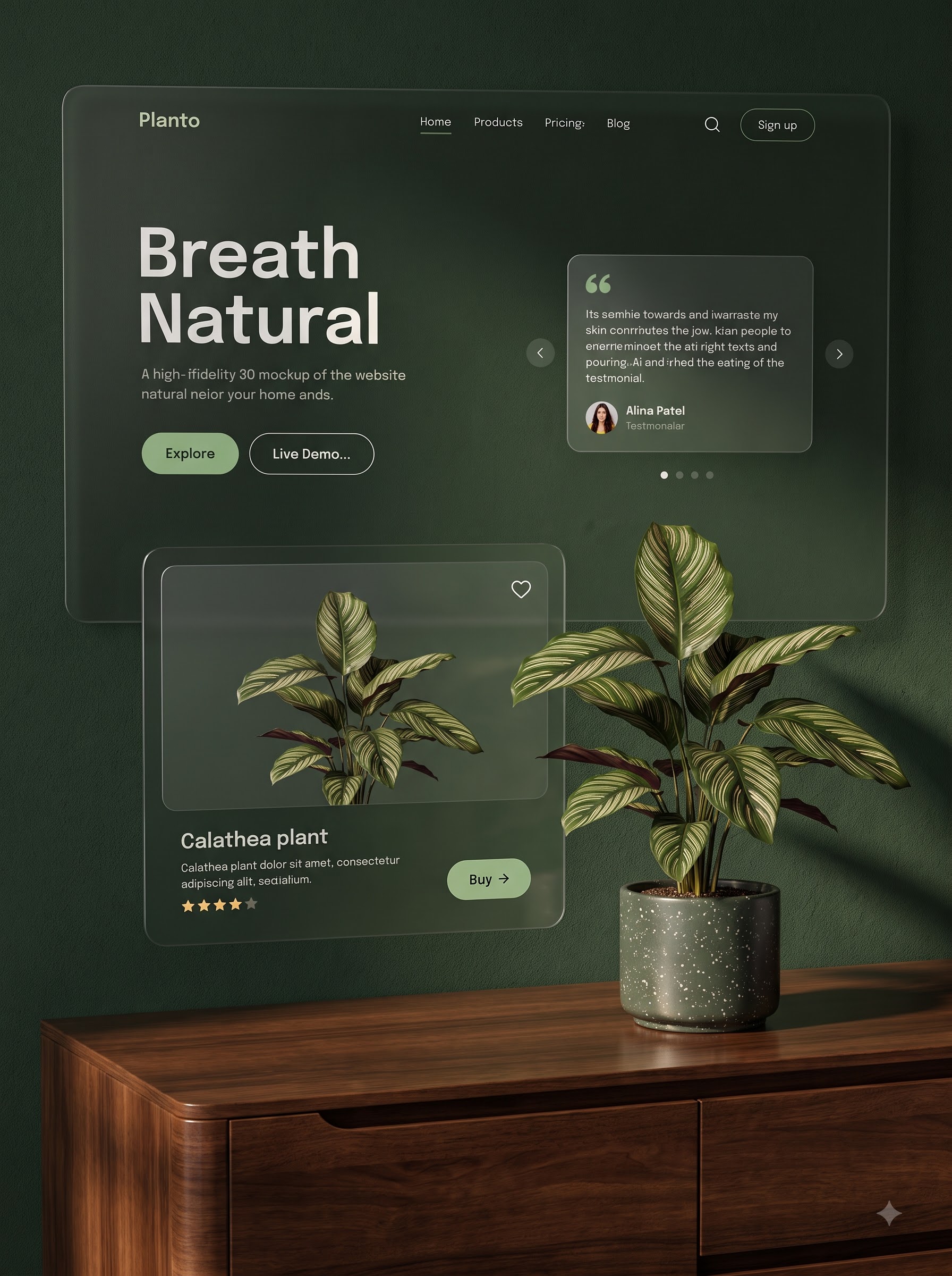 Planto plant detail screen